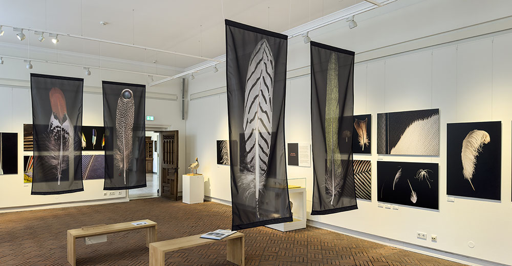 KOCH_Federn_Exhibit_NWMuseum_Flensburg_R1_IMG_5776_klein.jpg